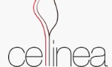 Cellinea - suplement zwalczający cellulit logo